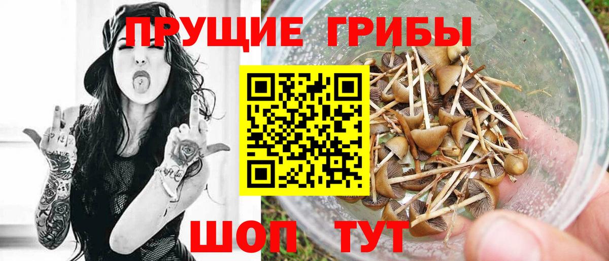 Галлюциногенные грибы ЛСД  Вход с VPN  Мурино 